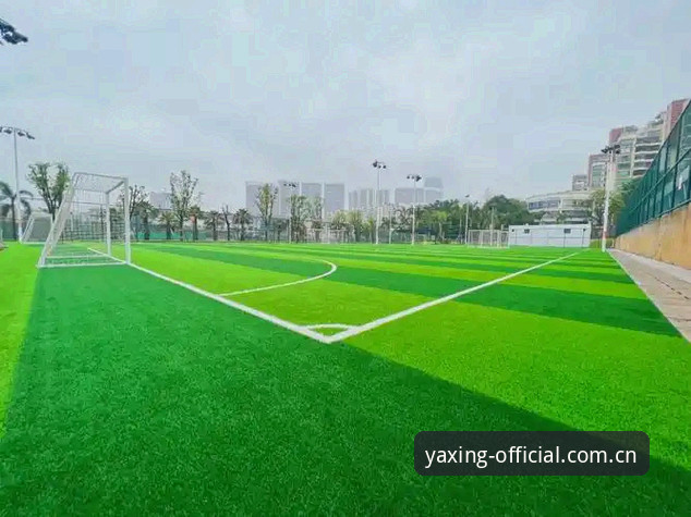 亚星YX下载 如何通过亚星YX下载开启体育娱乐新体验?